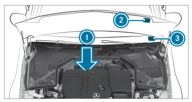 Vehicle identification plate, VIN and engine number overview 