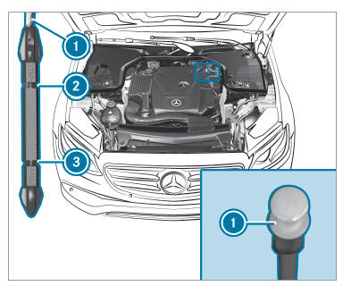 Engine compartment