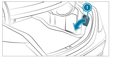 Changing bulbs (only for vehicles with halogen headlamps)